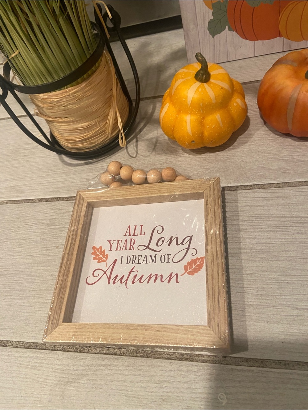 Autumn Bundle - Picture 4 of 9